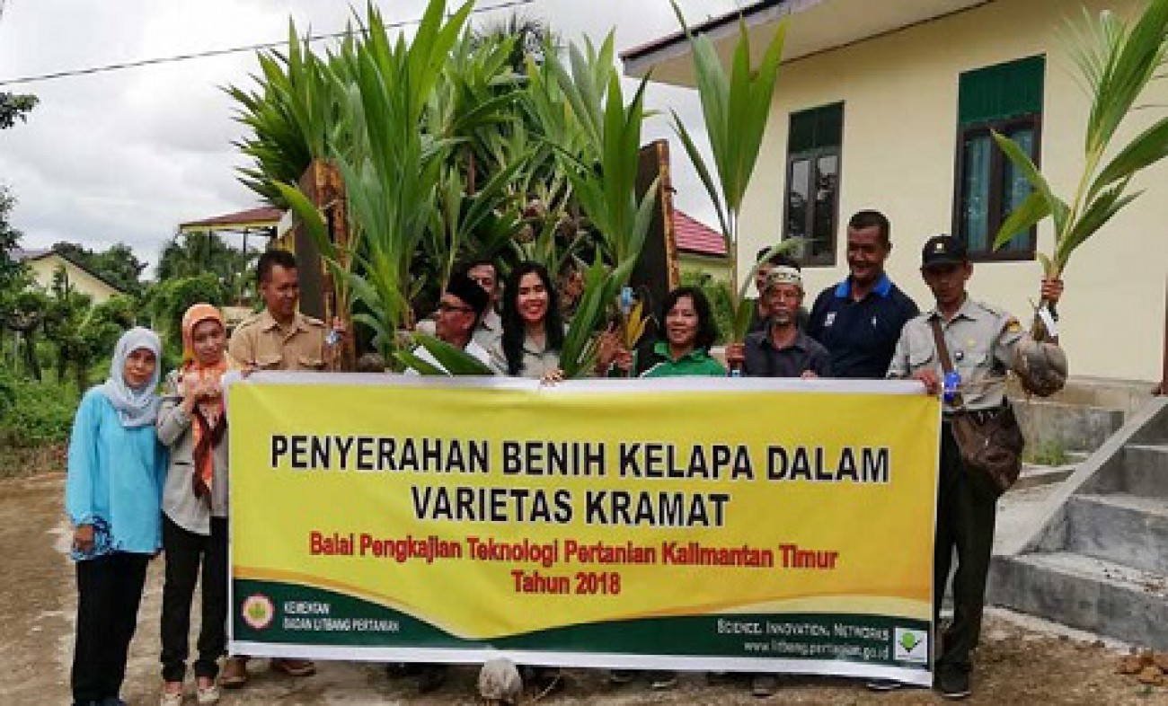 1.000 Bibit Kelapa Terdistribusi ke Kelompok Tani Tenggarong Seberang