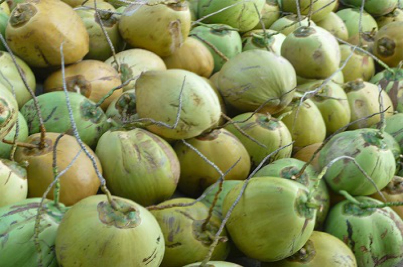 Kelapa Dalam