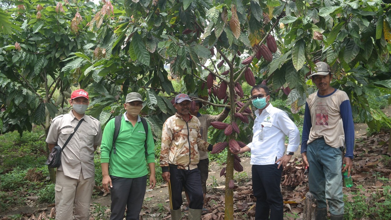 Disbun Kembali Nilai Kinerja Pembangunan Perkebunan