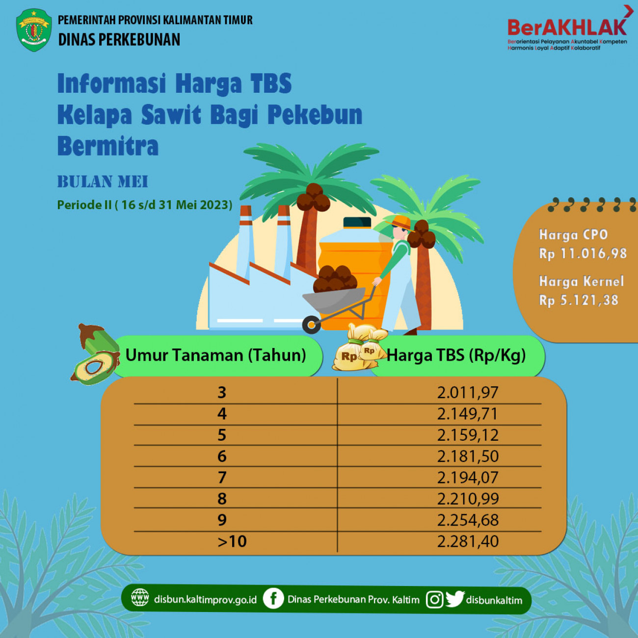 Informasi Harga TBS Kelapa Sawit Bagi Pekebun Bermitra Periode 16 - 31 Mei 2023