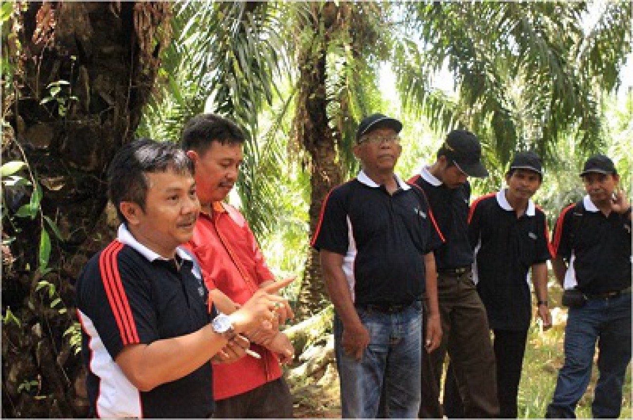 Petani Perkebunan Wajib Miliki STD-B