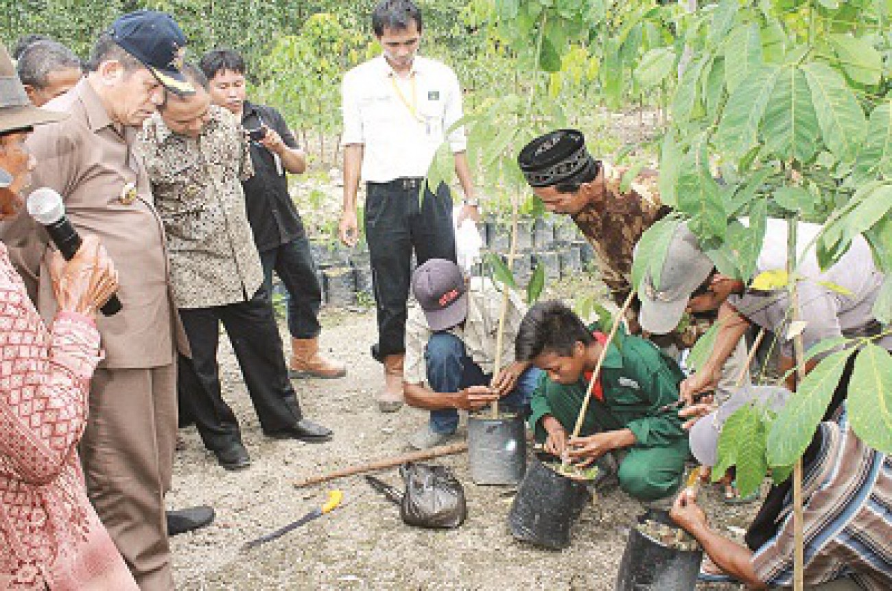 Disbun Maksimalkan UPTD Pengembangan Bahan Tanaman