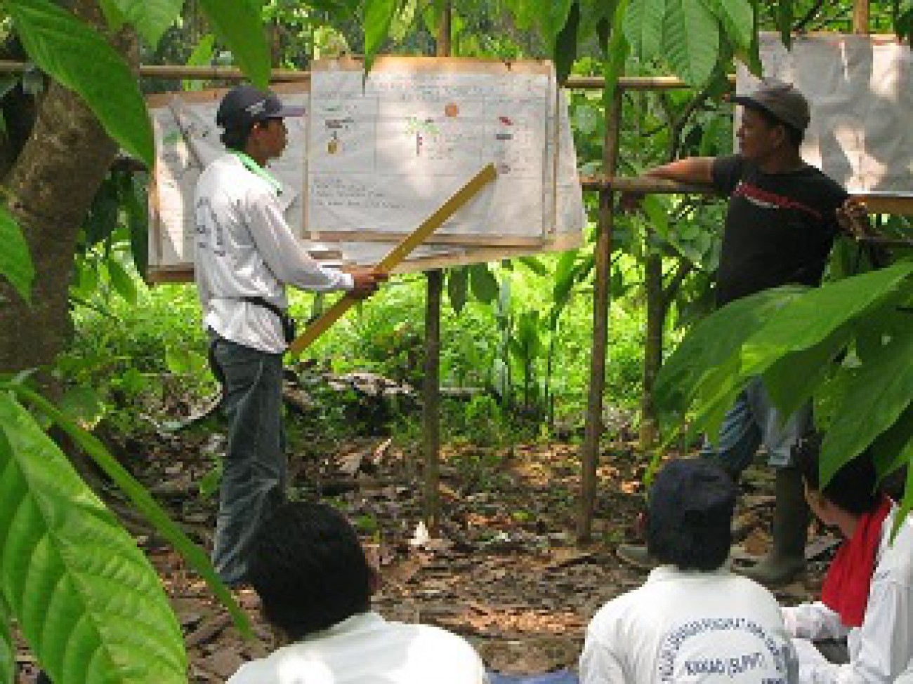 Program SLPHT Diikuti 175 Petani