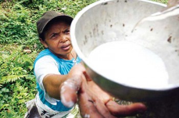 Kaltim Perlu Pabrik Karet