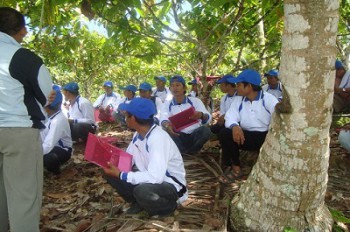 Disbun Berau Tingkatkan SDM Pemandu Lapang