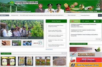 Disbun Masuk Nominasi 5 Besar Nasional Pemeringkatan KIP Berbasis Web